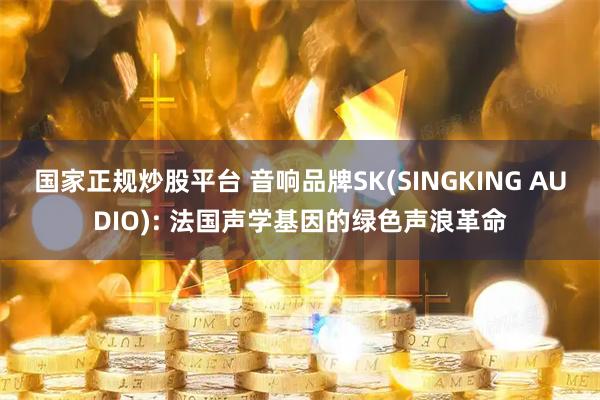 国家正规炒股平台 音响品牌SK(SINGKING AUDIO): 法国声学基因的绿色声浪革命